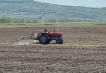 APIA a făcut plăți de peste 424 milioane lei pentru Campania 2023