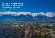 Prima pădure urbană la Victoria. Acțiunea de plantare se va desfășura sâmbătă, începând cu ora 9.30. Unde te poți înscrie