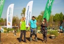 Camelia Bertea, primarul de la Victoria: ,,Vom face din pădurea aceasta locul cel mai verde din Victoria“. S-au plantat 9.000 de arbori și arbuști