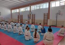 Foto si Video. Stagiu de Karate la Făgăraș cu maestrul italian Shihan Paolo Lusvardi, 8 Dan SKIF