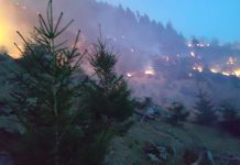 Foto și Video Exclusiv. Ard Munții Făgărașului. A patra zi de intervenții pentru stingerea focarelor. Au ars peste 15 ha de pădure