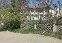 Foto. ,,Tun“ pe bani publici de 260.000 euro. Școală lăsată în paragină, dar Primăria Făgăraș plătește chirii unor privați pentru clasele de elevi