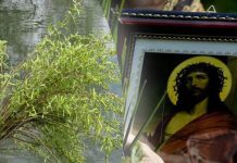 Tradiţii şi obiceiuri de Florii. De ce se sfințesc ramuri de salcie. La mulți ani sărbătoriților!