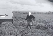 La Beclean se fură orice și oricând. În plină zi, un localnic și-a însușit în voie lucerna de la o fermă. Păgubiții așteaptă ca Poliția să se implice