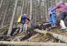 Video. Un nou incendiu în Munții Făgăraș, pe valea Ucea Mare. Focul a fost stins