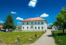 Caz șocant la școala din Recea. Patru elevi din clasa a VIII-a și-au abuzat sexual colegii din clasa a V-a. Polițiștii au deschis dosar penal