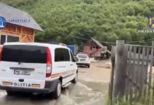 Trei persoane reținute în urma perchezițiilor, un șef de ocol silvic și administratorii a două firme de exploatare a lemnului