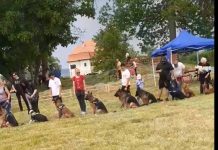 Video. Show la Castelul Brâncovenesc de la Sâmbăta de Sus