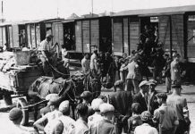 ,,Rusaliile negre“. Mărturii din Infernul Bărăganului. Bilanţul deportărilor: 1.731 de morţi, dintre care 175 de copii