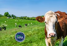 Sprijin financiar în valoare de peste 55 milioane lei pentru crescătorii de animale