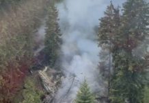 Video. Incendiu pe Viștea Mare din masivul Făgăraș. Se intervine și aerian pentru stingerea focului