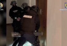 Video. Patru traficanți de droguri din județul Brașov au fost arestați, iar alți trei au fost puși sub control judiciar