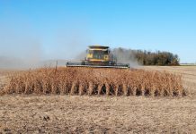 13.000 de fermieri vor fi verificați de APIA în Campania 2024