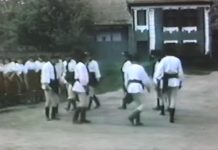 Video, mai 1986. Cum se juca la Dăișoara, în trecut. Fecioreasca și Purtata în vatra satului