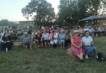 Foto și Video. Festivalul ,,Fiii Brâncovenilor“, în curtea Castelului Brâncovenesc de la Sâmbăta de Sus