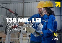 138,25 milioane de lei pentru industria României