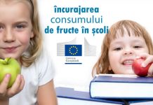 Programul pentru școli al României: 760 milioane lei pentru anul școlar 2024-2025