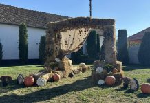 Foto. Toamna în comuna Sâmbăta de Sus. Aranjamentele au fost realizate de primar și angajații din Primărie