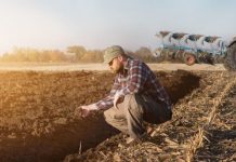 Tinerii fermieri trebuie să depună la APIA documentele care fac dovada formării sau a deținerii competențelor în domeniul agricol. Temenul este 30 septembrie