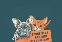 Opriți cruzimea! Eveniment de conștientizare a drepturilor animalelor, duminică, la Făgăraș