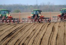 APIA plătește rentierii agricoli, campania 2024