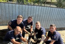 Pompierii de la ISU Brașov au salvat un cățel de sub dărâmături, în satul Slobozia Conachi, grav lovit de inundații. Încă un contigent de la ISU Brașov a plecat în zonele calamitate
