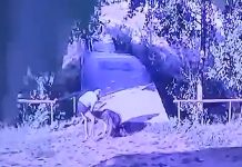 Video. Un caz dur de violență domestică la Veneția de Jos. O femeie lovește cu bestialitate o altă femeie în plină stradă