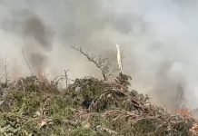 Video. Incendiu în zona montană, Vârful Comisu, între Făgăraș și Vlădeni. Intervenția este dificilă