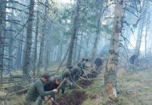 Foto. A patra zi de intervenție la incendiul din Munții Făgăraș. A fost în pericol și situl UNESCO „Codrii Seculari de la Şinca”