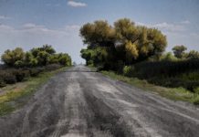 CJ Brașov a stabilit firmele care vor reabilita drumul Făgăraș-Șoarș-Bărcut. Dacă nu vor fi contestații, se vor încheia contractele pentru cele două loturi