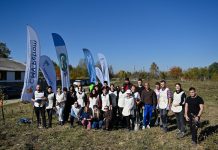 Foto. 1.800 de arbori și arbuști și plante perene au fost plantate în doar 2 zile în orașul Victoria