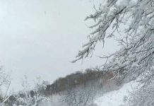 TIR-uri blocate pe DN1, în zona Perșani