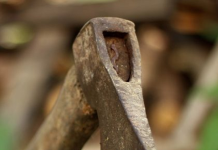 Și-a tuns soția cu toporul, i-a ras capul și sprâncenele și a bătut-o cu cruzime. Victima și agresorul erau căsătoriți de doar câteva săptămâni