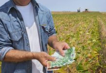 APIA a plătit subvenții în valoare de 108,5 milioane de euro pentru campania 2024