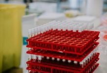 02 Oct The Physiological Research Behind Growth Hormone Releasing Hormone (GHRH) (Cercetarea fiziologică din spatele hormonului de eliberare a hormonului de creștere (GHRH) monitorfg