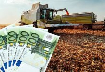 Ultimele plăți prin APIA pentru anul de cerere 2024