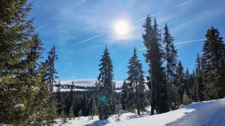Vremea în Transilvania și în țară în următoarele două săptămâni. Prognoza meteo pe regiuni, până în 16 februarie