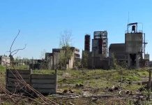 Politicul a falimentat fabricile de pulberi din zona Făgărașului. Au fost considerate oaia neagră a guvernelor postdecembriste, dar modul sigur de sifonare a banilor publici