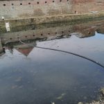 IMG_20250303_120210