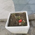 IMG_20250303_120317
