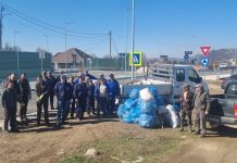 Ecologizare pe malul Oltului, zona cartierului Galați. Și-au dat mâna angajații Ocolului Silvic, AVPS și Apele Române