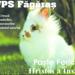 avps
