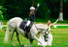 Primul spectacol ecvestru din acest an la Herghelia de lipițani de la Sâmbăta de Jos