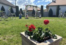 Foto. Curățenie și aranjamente florale de sezon în spațiile publice ale Comunei Sâmbăta de Sus