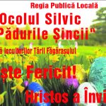 ocol padurile sincii