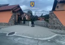 Video. Percheziții, rețineri și arestări la Ocolul Silvic Săcele, pădurari și hoți de lemne. Dosare penale pentru furt de lemne și delapidare