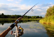 Prohibiție la pescuitul în apele de șes și colinare, începând de mâine. AVPS Făgăraș va popula cu crap apa Oltului, în aval de barajul de la Dridif