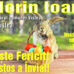 pr vistea