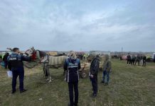 Polițiștii au dat iama în târgul de la Viștea de Jos. Proprietarii unor cai s-au ales cu dosare penale