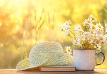 Vremea în minivacanța de 1 Mai, în Transilvania și la munte. Prognoza meteo pe regiuni, în următoarele două săptămâni